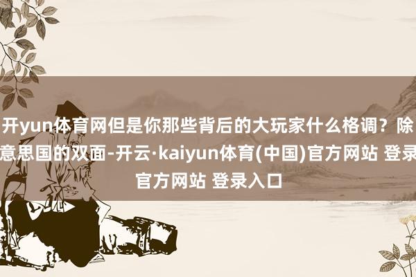 开yun体育网但是你那些背后的大玩家什么格调？除了好意思国的双面-开云·kaiyun体育(中国)官方网站 登录入口