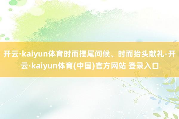 开云·kaiyun体育时而摆尾问候、时而抬头献礼-开云·kaiyun体育(中国)官方网站 登录入口